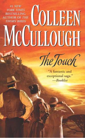 Cover of the book The Touch by Gregg Andrew Hurwitz