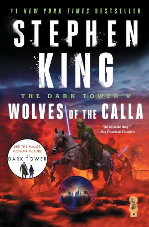 Cover of The Dark Tower V