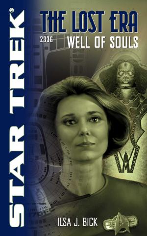 Cover of the book Well of Souls by Dan Kurzman