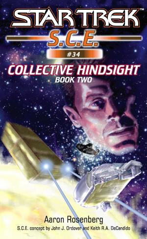 Book cover of Star Trek: Collective Hindsight Book 2