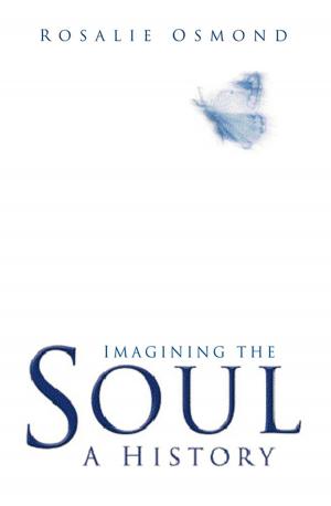 Cover of the book Imagining the Soul by Peter Walters