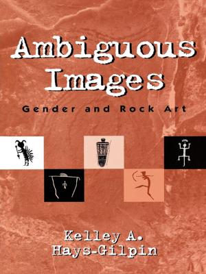 Book cover of Ambiguous Images