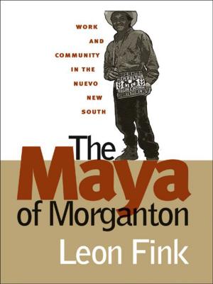 Cover of the book The Maya of Morganton by Rob Christensen