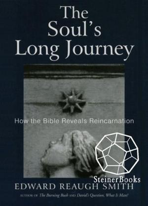 bigCover of the book The Soul's Long Journey: How the Bible Reveals Reincarnation by 