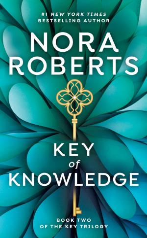 Cover of the book Key Of Knowledge by Kevin Flynn