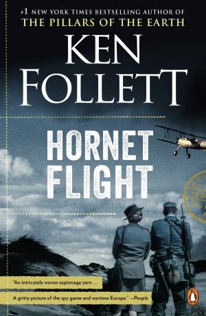 Cover of the book Hornet Flight by Roddy Doyle