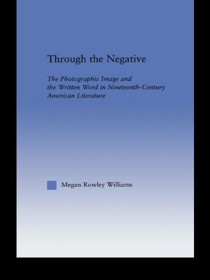 Cover of the book Through the Negative by Erwin Panofsky