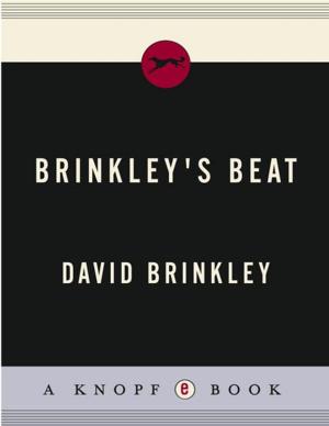 Cover of the book Brinkley's Beat by John Toland