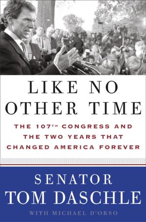 Book cover of Like No Other Time