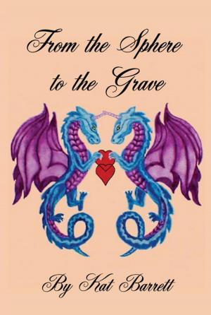 Cover of the book From the Sphere to the Grave by Pandora N. Kinard
