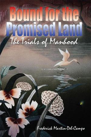 Cover of the book Bound for the Promised Land by Clarence T. Hellums