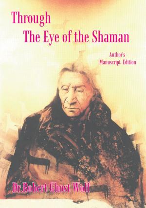 Book cover of Through the Eye of the Shaman - the Nagual Returns