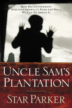 Book cover of Uncle Sam's Plantation