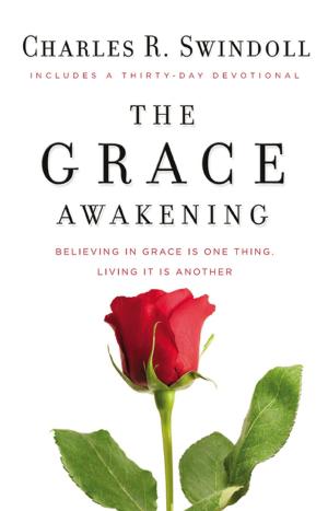 Cover of the book The Grace Awakening by Cindy Martinusen-Coloma
