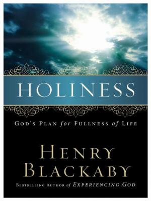 Cover of the book Holiness by Bob Burns