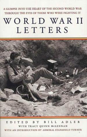 Cover of the book World War II Letters by Donna Grant
