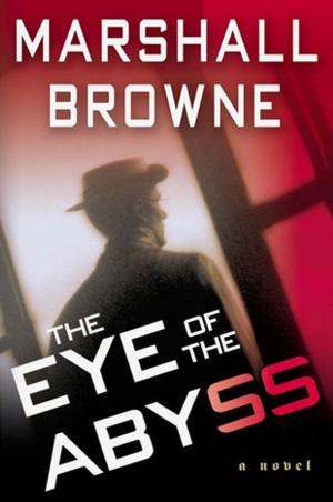 Cover of the book The Eye of the Abyss by Neville Isdell, David Beasley