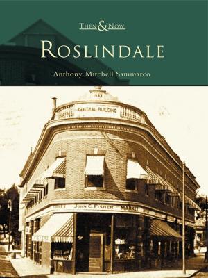 Cover of the book Roslindale by Harrison Wick