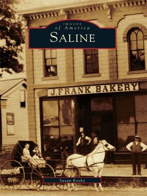 Cover of the book Saline by Victoria R. Newman, Museum of Colorado Prisons