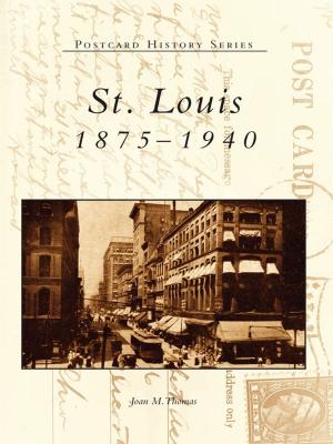 Cover of the book St. Louis by Dennis Webster
