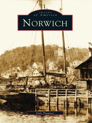 Cover of the book Norwich by Richard Panchyk