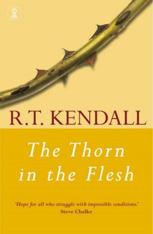 Cover of the book The Thorn in the Flesh by David Bird