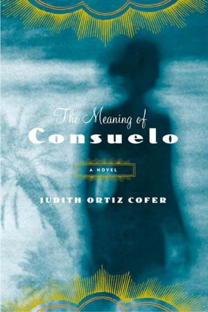 Cover of the book The Meaning of Consuelo by Christobel Kent