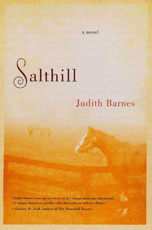 Cover of the book Salthill by Jennifer Thompson-Cannino, Ronald Cotton, Erin Torneo