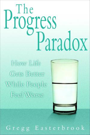 Book cover of The Progress Paradox