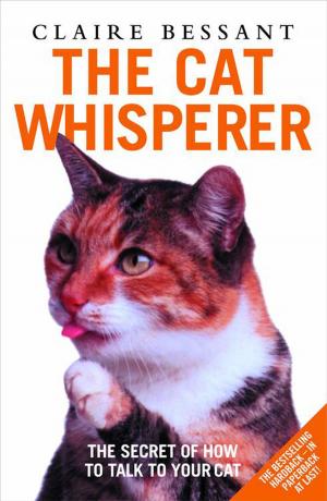 Cover of the book The Cat Whisperer by Michael Carignan