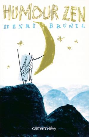 Cover of the book Humour zen by Donato Carrisi