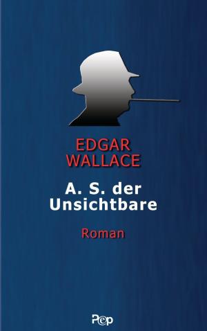 Cover of the book A.S. der Unsichtbare by S. Quinn