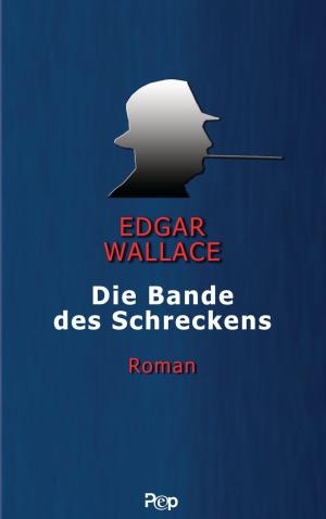 Cover of the book Die Bande des Schreckens by Annabel Pitcher