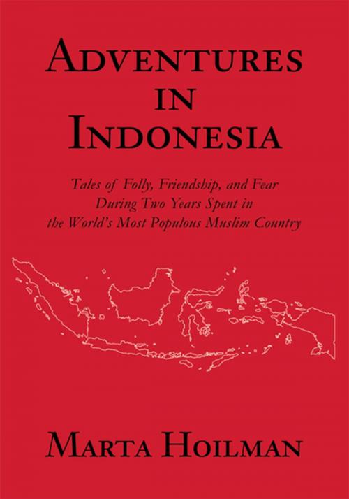 Cover of the book Adventures in Indonesia by Marta Hoilman, iUniverse