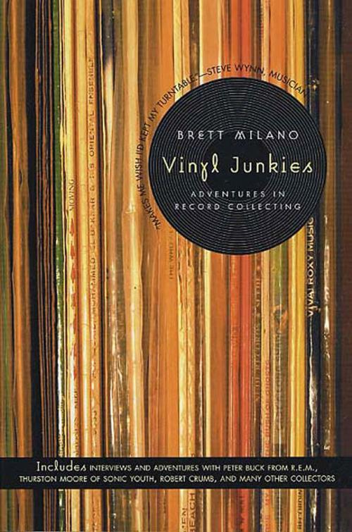 Cover of the book Vinyl Junkies by Brett Milano, St. Martin's Press