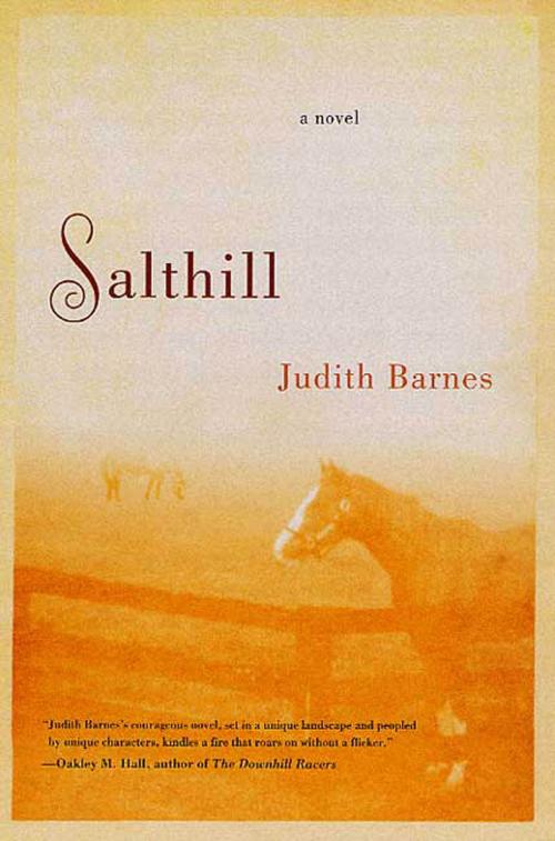 Cover of the book Salthill by Judith Barnes, St. Martin's Press