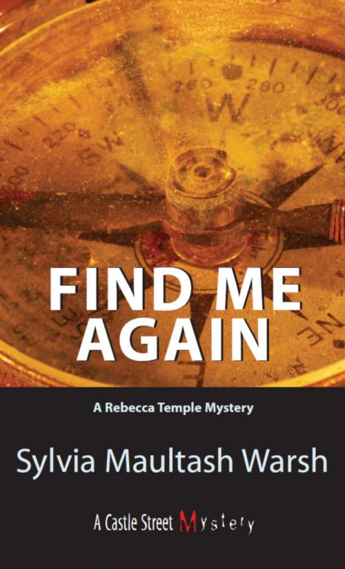Cover of the book Find Me Again by Sylvia Maultash Warsh, Dundurn