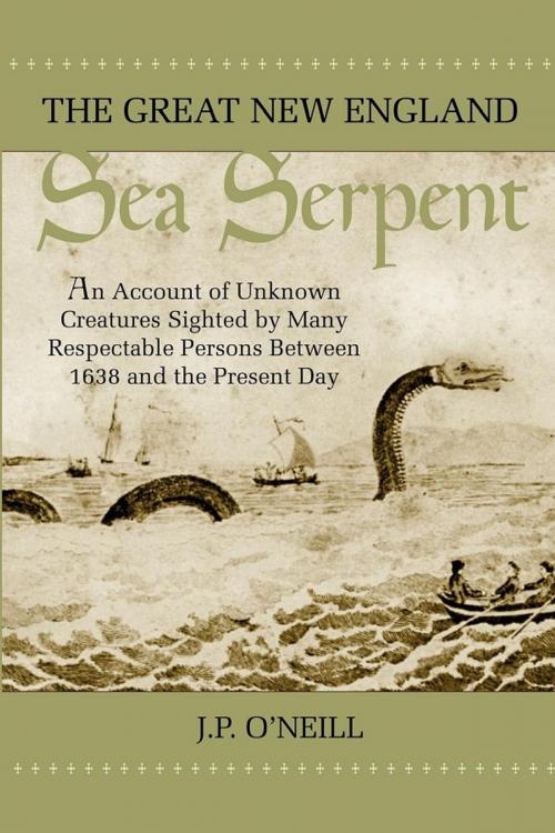 Cover of the book The Great New England Sea Serpent by June P. O'Neill, Paraview Press