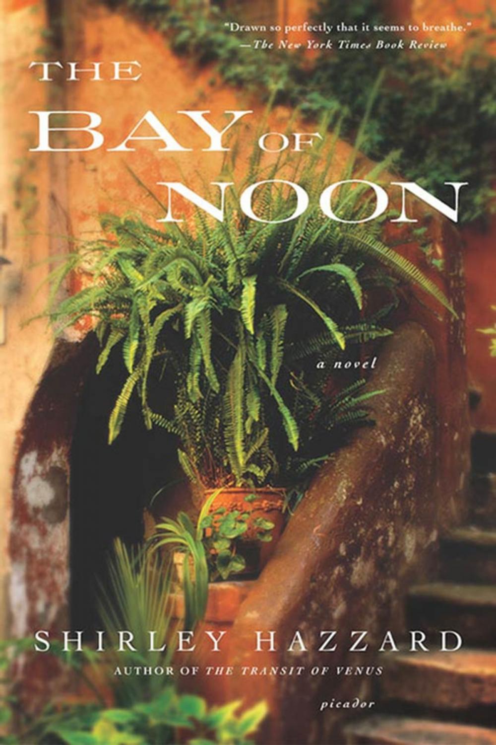 Big bigCover of The Bay of Noon