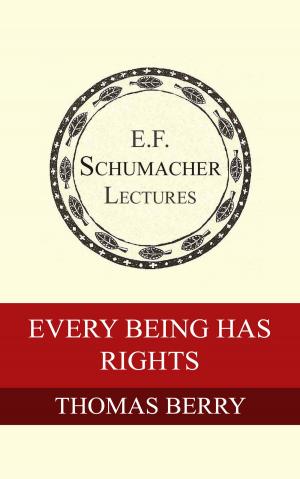 Cover of the book Every Being Has Rights by Leopold Kohr, Hildegarde Hannum