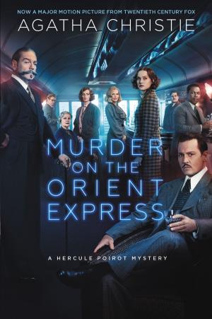 Cover of the book Murder on the Orient Express by Elizabeth Peters