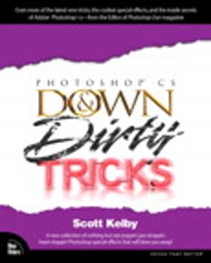 Book cover of Adobe Photoshop CS Down & Dirty Tricks