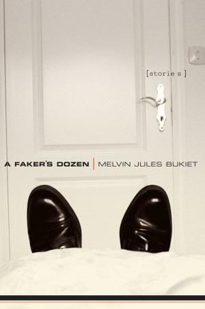 Cover of the book A Faker's Dozen: Stories by Karen Rouillard