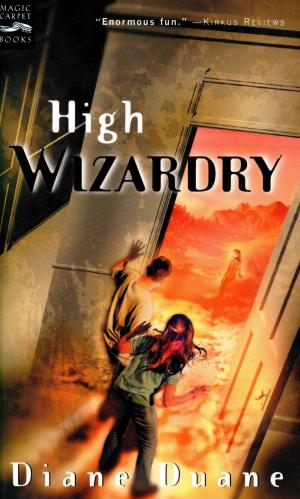 Cover of the book High Wizardry by Lisa Clough