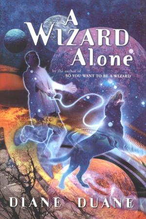 Cover of the book A Wizard Alone by Russell Freedman