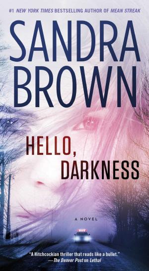 Cover of the book Hello, Darkness by Lee McGeorge