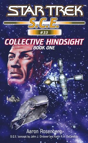 Book cover of Star Trek: Collective Hindsight Book 1