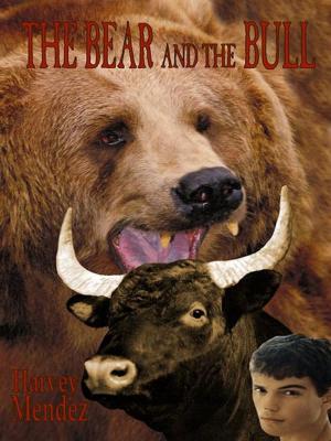 Book cover of The Bear and the Bull