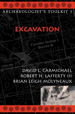 Cover of the book Excavation by Mark McWilliams