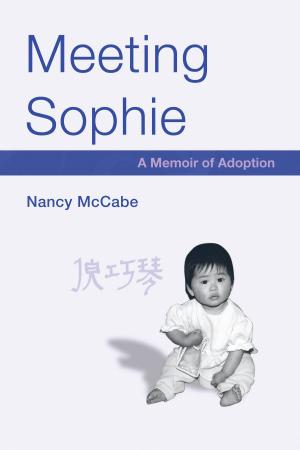 Book cover of Meeting Sophie